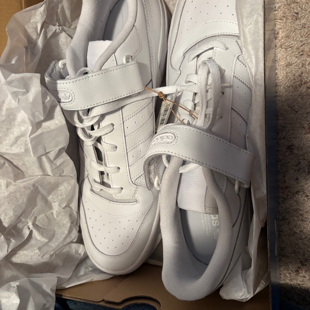 Men’s Adidas Forum Lo